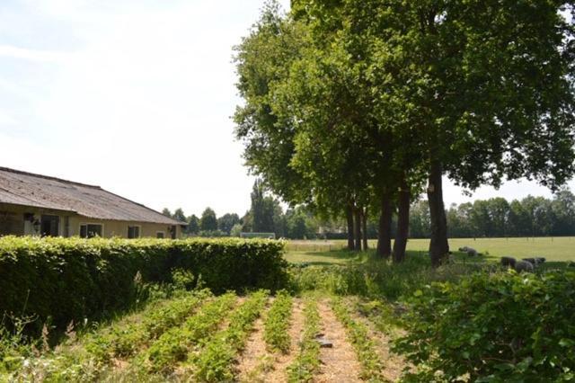 Residentie De Hoek Den Dungen Екстериор снимка